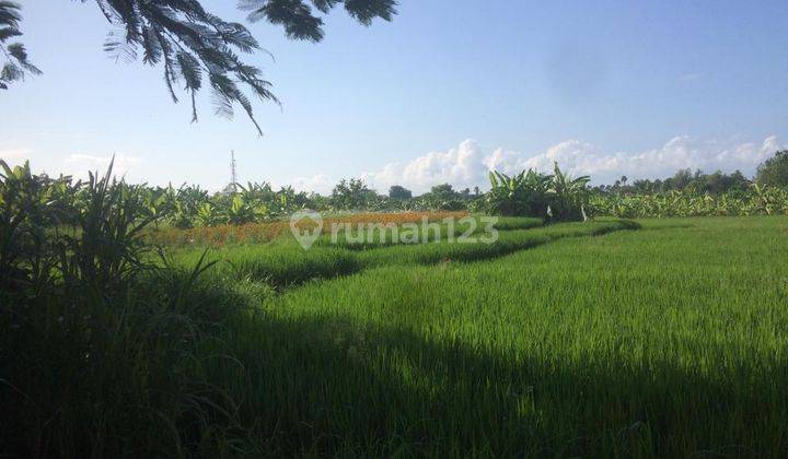 Hot List Di Jual Tanah Premium Lokasi Seminyak Kuta Badung 1