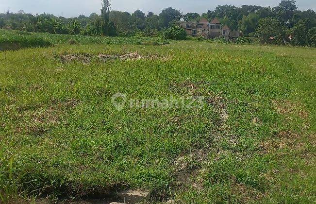 Hot List of land for sale in the Grasshopper Kedungu location, Kediri, Tabanan 2