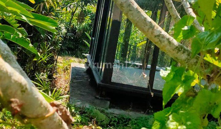 Hot List For Sale Land Bonus Building View Paddy Location Jalan Sri Wedari Ubud Gianyar 2