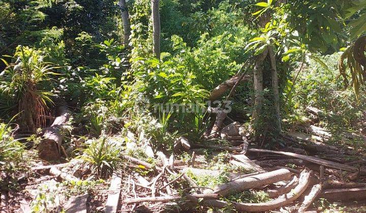 TOP URGENT LAND FOR SALE AT CUPITAN PURA PECATU SOUTH BADUNG LOCATION
 2