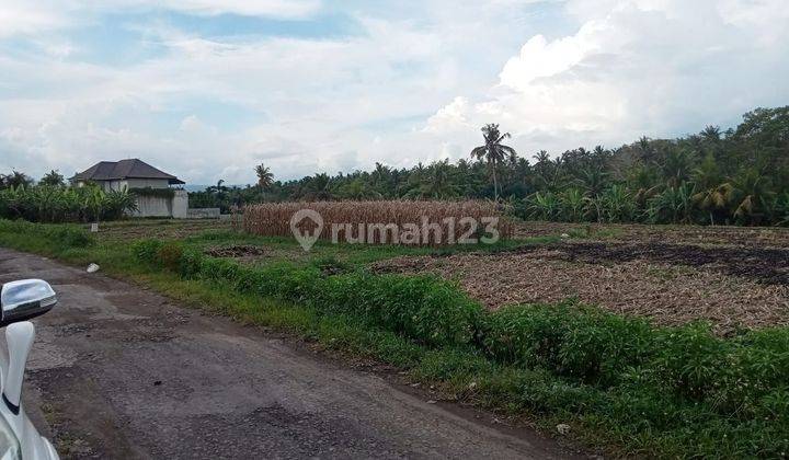 TOP URGENT DI JUAL TANAH LOSS SUNGAI VIEW SAWAH LOKASI TIBUBIU KERAMBITAN TABANAN
 2