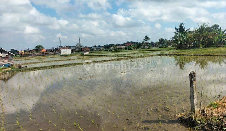 TOP URGENT LAND FOR SALE RICE & MOUNTAIN VIEW LOCATION SATURDAY UBUD GIANYAR
 1