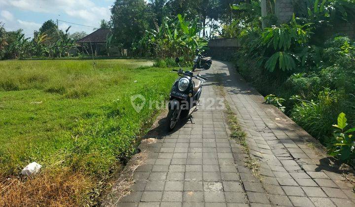 TOP URGENT LAND FOR SALE RICE & MOUNTAIN VIEW LOCATION SATURDAY UBUD GIANYAR
 2