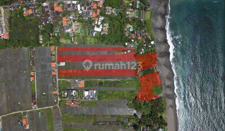 TOP URGENT LAND FOR SALE LOSS BEACH VIEW SEA LOCATION SESEH MUNGGU BERWI BADUNG 2