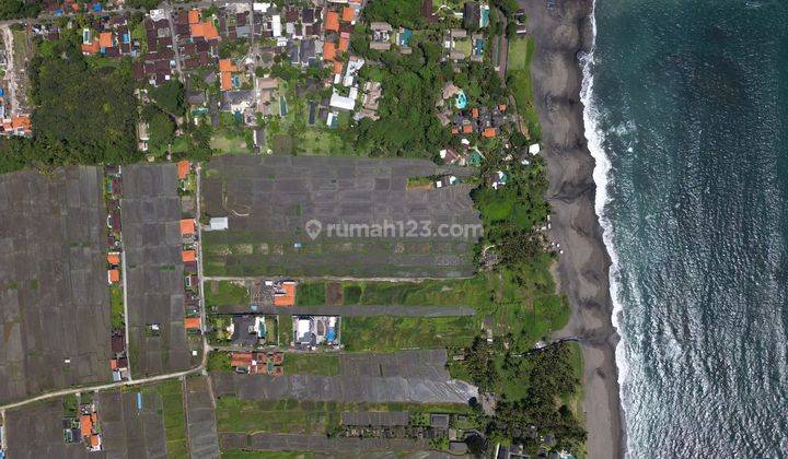 TOP URGENT LAND FOR SALE LOSS BEACH VIEW SEA LOCATION SESEH MUNGGU BERWI BADUNG 1