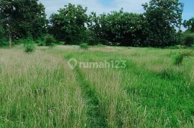 TOP URGENT FOR SALE LAND LOCATION GOA GONG UNGASAN KUTA SELATAN BADUNG 2