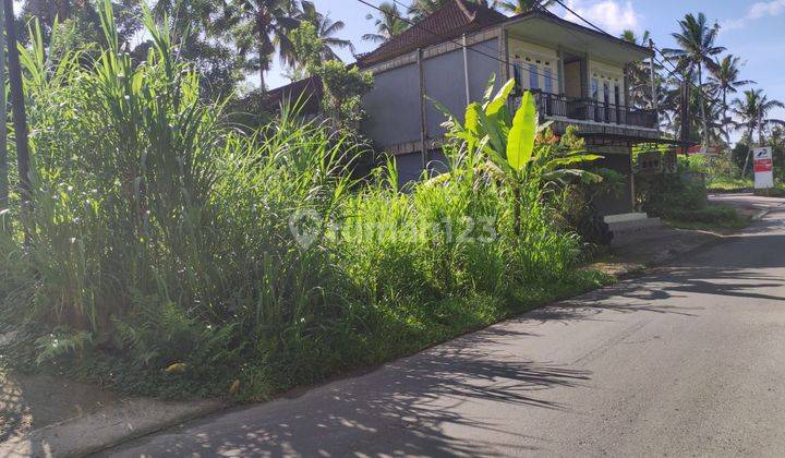 TOP URGENT DI JUAL TANAH PINGGIR JALAN LOKASI TARO TEGALLALANG UBUD GIANYAR
 2