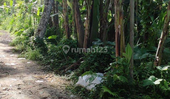 TOP URGENT DI JUAL TANAH PINGGIR JALAN LOKASI TARO TEGALLALANG UBUD GIANYAR
 1