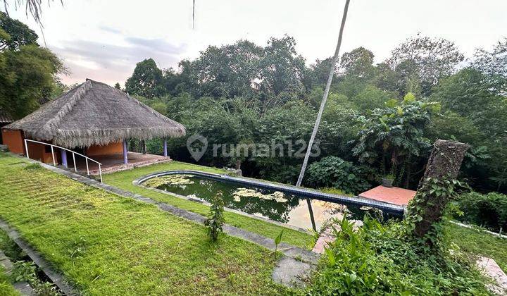 TOP URGENT DI JUAL TANAH BONUS BANGUNAN VIEW SUNGAI LOKASI CEPAKA KEDIRI TABANAN 
 2