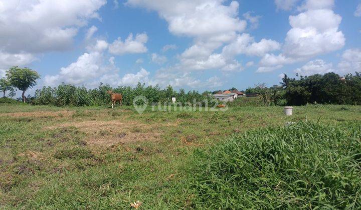 TOP URGENT DI JUAL TANAH LOKASI KABA KABA KEDIRI TABANAN  2