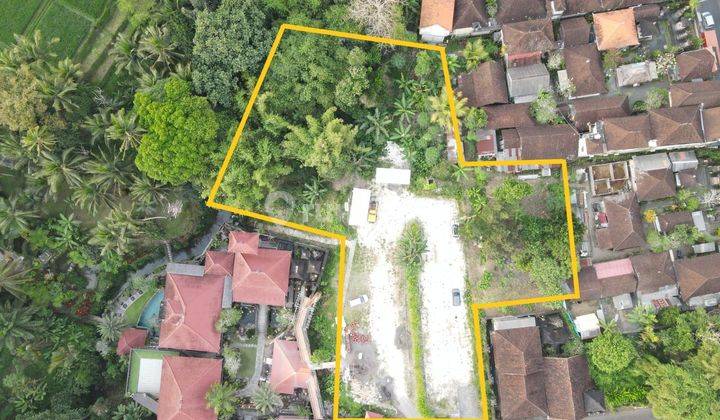 TOP URGENT FOR SALE LAND LOCATION SUWETA UBUD GIANYAR  1