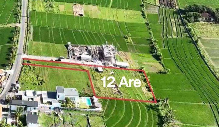 TOP URGENT DI JUAL TANAH VIEW SAWAH LOKASI BERABAN KEDIRI TABANAN 
 1