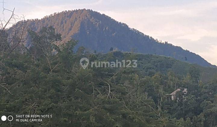 PASTI CLOSING DI JUAL TANAH VIEW LAUT & LEMBAH LOKASI MUNDUK TAMBLINGAN BULELENG
 1
