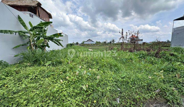 CERTAINLY CLOSED FOR RENT LAND IN TUMBAK BAYUH CANGGU NORTH KUTA BADUNG LOCATION 2