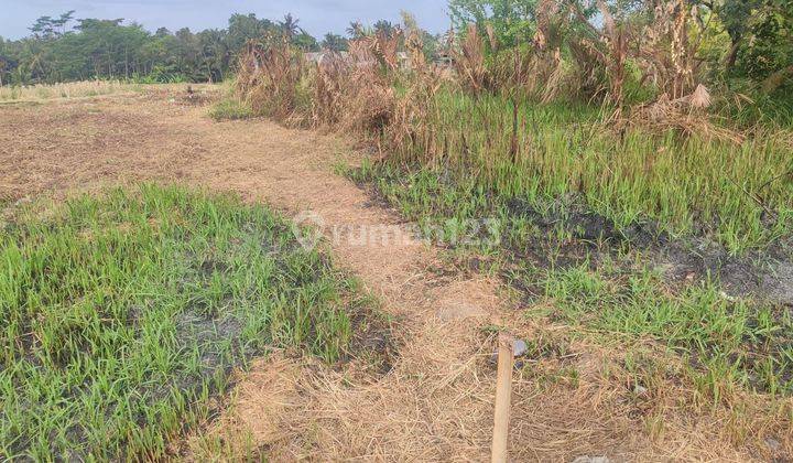 DEFINITELY DEAL FOR SALE LAND LOCATION LODTUNDUH UBUD GIANYAR 1