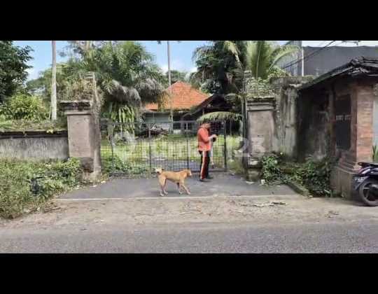 Pasti Deal Di Jual Tanah Lokasi Pinggir Jalan Utama Sayan Ubud Gianyar Bali 