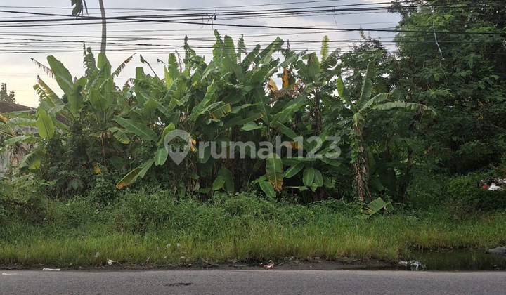 Strategic Business Opportunity: Large Yard Land for Rent on Jalan Ikip Pgri, Kasihan, Bantul Strategic Business Opportunity: Large Yard Land for Rent on Jalan Ikip Pgri, Kasihan, Bantul