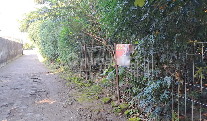 Tanah Pekarangan 405 Meter Persegi Lokasi Dekat Pasar Condongcatur,Depok Sleman