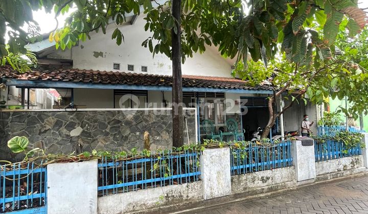 Golden Opportunity, House Investment in a Strategic Location, Jakal Km 5, Caturtunggal, Depok, Sleman 2