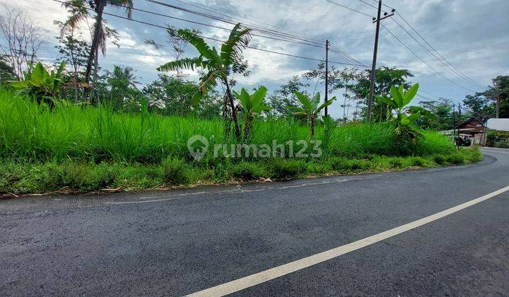 Tanah Luas Dijual di Kawasan Lumbang 1