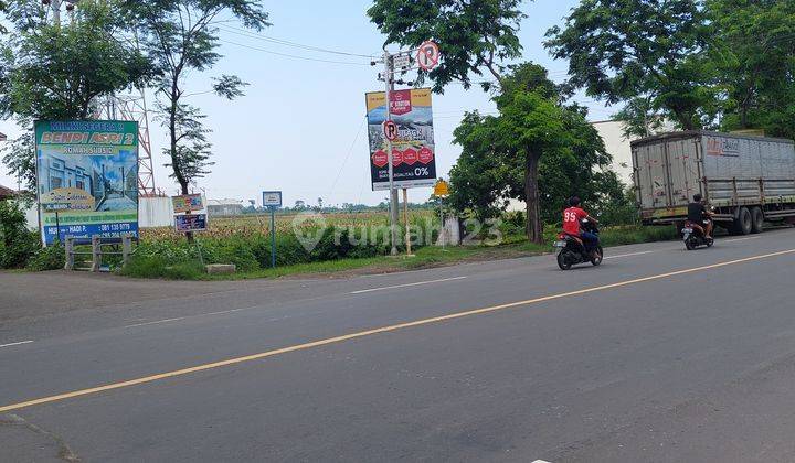 Dijual Lahan Area Probolinggo Murah Strategis Untuk Hotel, Homestay, Minimarket Dll 2