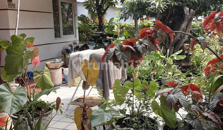 DH-027  DI JUAL  RUMAH MURAH  ANTAPANI BANDUNG 2