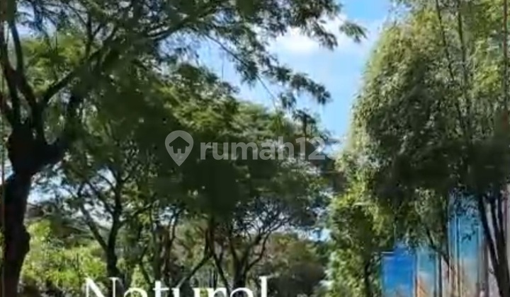 Bellefont Gading Serpong Rumah Gaya Paris.