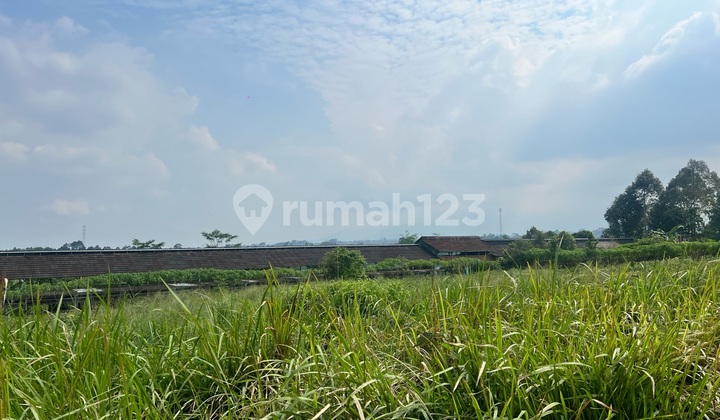  Lahan Untuk Perkebunan Vila Best View Dikawasan Agro Wisata 