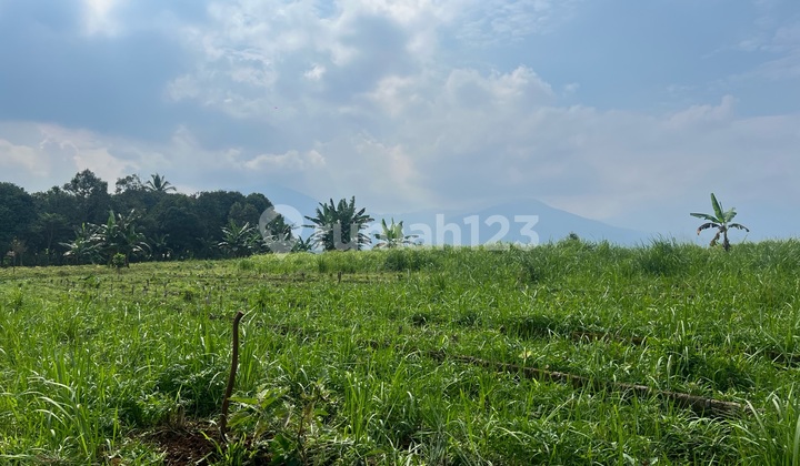  Lahan Untuk Perkebunan Vila Best View Dikawasan Agro Wisata 
