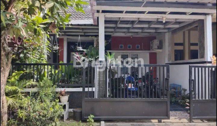 Rumah Siap Huni, Sejuk Dan Asri Dekat Vanya Park,ice Bsd Tangerang 1