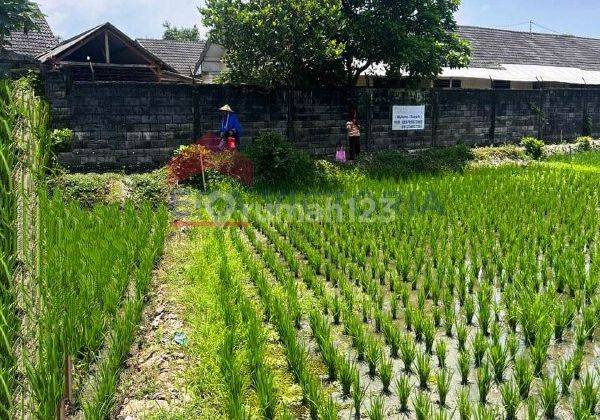 Tanah Luas Cocok Untuk Cafe Atau Perkebunan di Pakis, Malang 1