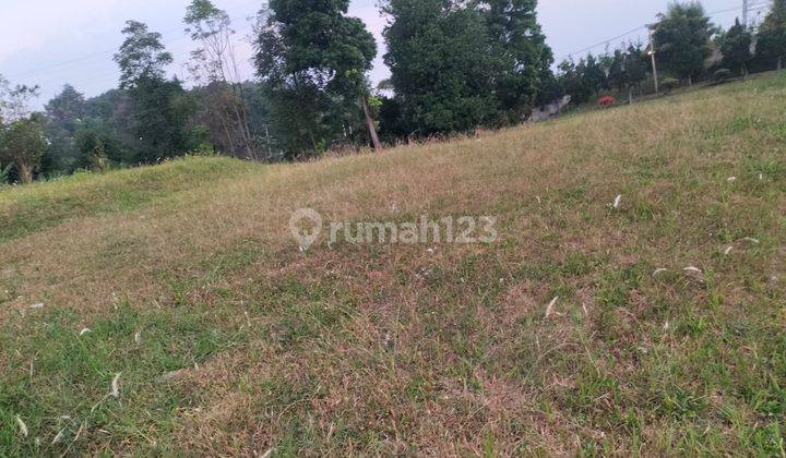 Dijual Tanah Kotak di Royal View Ciwaruga Tanah Datar 1