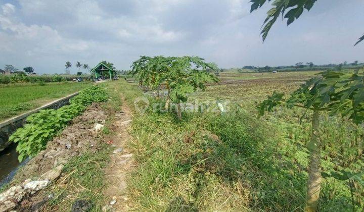 Jual tanah sawah, SHM, daerah Tamanharjo, Singosari 1