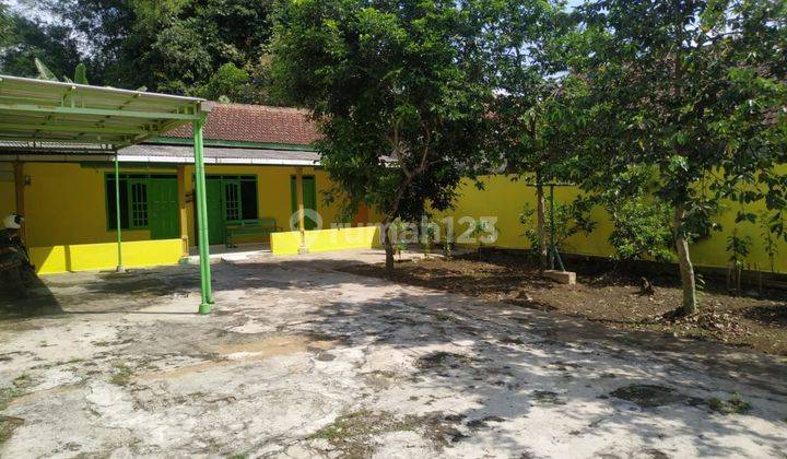 Rumah sederhana, dengan halaman luas, cocok untuk jualan 2