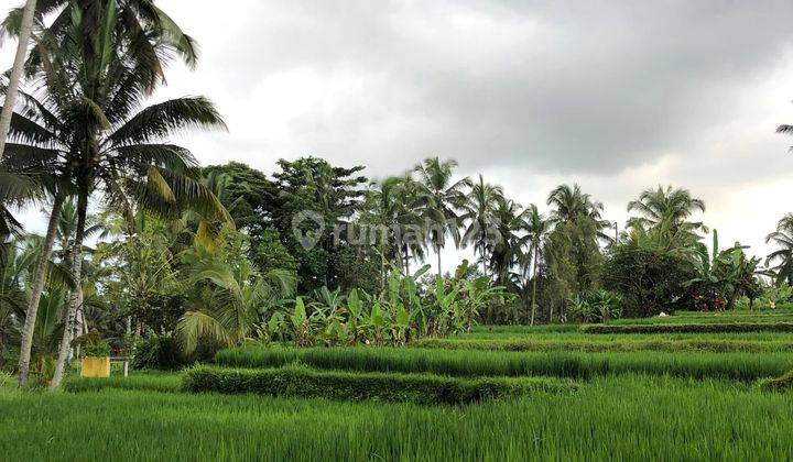 Tanah di Daerah Ubud 2