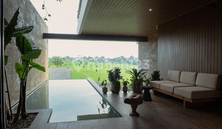 Luxury Villa in Canggu with Rice Field View 1
