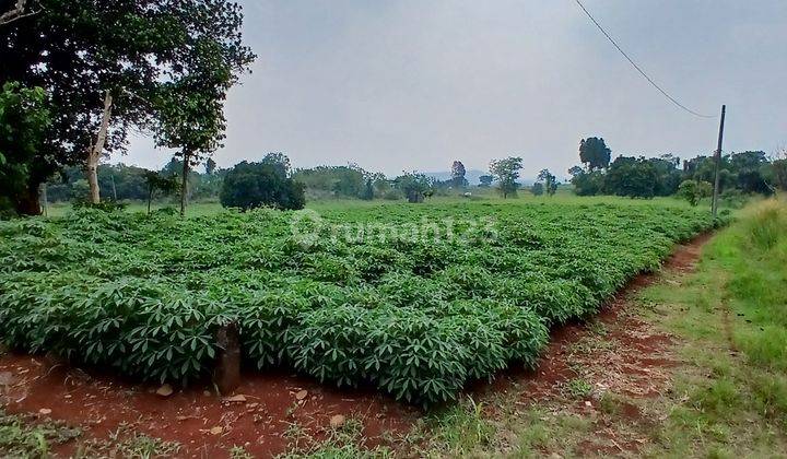 Tanah Kosong Murah Untuk Investasi Di Parung Hijau, Bogor/ Shm 2