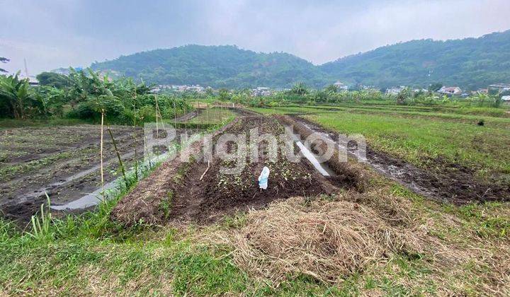 Tanah Lahan kosong, Kelurahan Leuwigajah Kacamatan Cimahi selatan, posisi belakang pabrik PTS 1