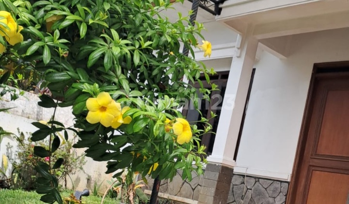 ******** Tenang .******** 2