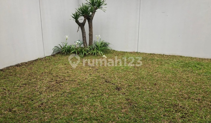 Green.cottage.house.Setiabudi.bandung 2