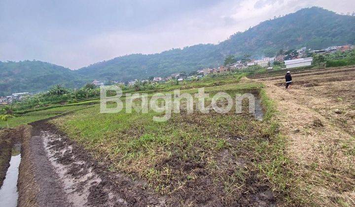 Tanah Lahan kosong, Kelurahan Leuwigajah Kacamatan Cimahi selatan, posisi belakang pabrik PTS 2