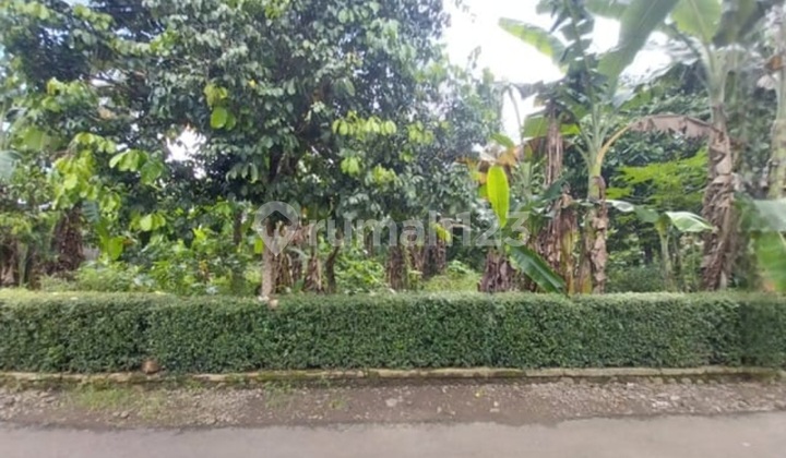 ******** Purwokerto.banyuwangi