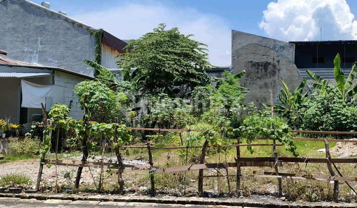 Tanah SHM Kedinding Tengah Jaya Surabaya