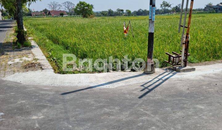 SAWAH SAMPING PABRIK PELASTIK RANDUSARI BOYOLALI , 100 M JALAN RAYA SOLO SEMARANG 1