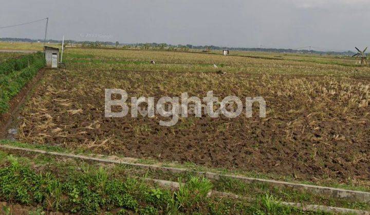 TANAH SAWAH PINGGIR JALAN DEKAT BALAI DESA SLOGO TANON SRAGEN 1