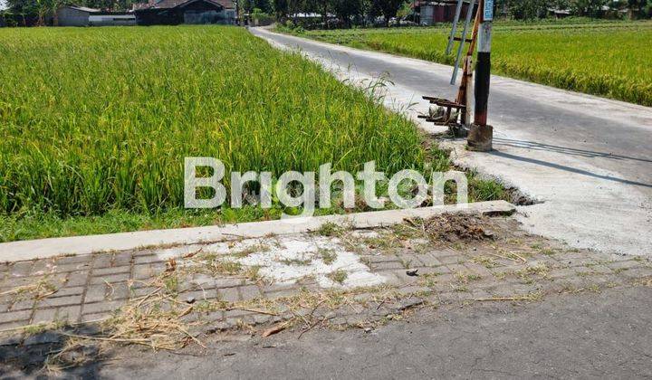 SAWAH SAMPING PABRIK PELASTIK RANDUSARI BOYOLALI , 100 M JALAN RAYA SOLO SEMARANG 2