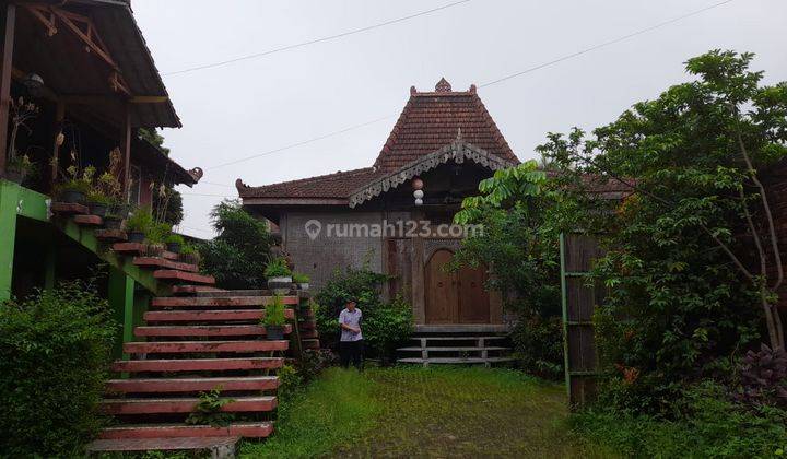 Dijual Ex Cafe Dan Guest House di Raya Pacet Mojokerto Dengan View Menakjubkan 2