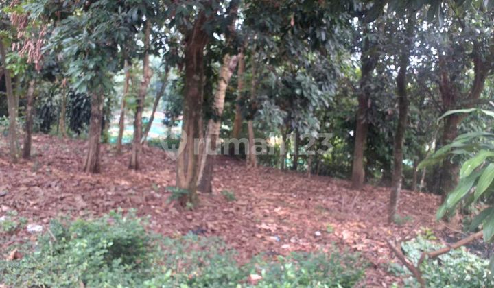 Jual Tanah Murah Didesa Bojongsari Sempu