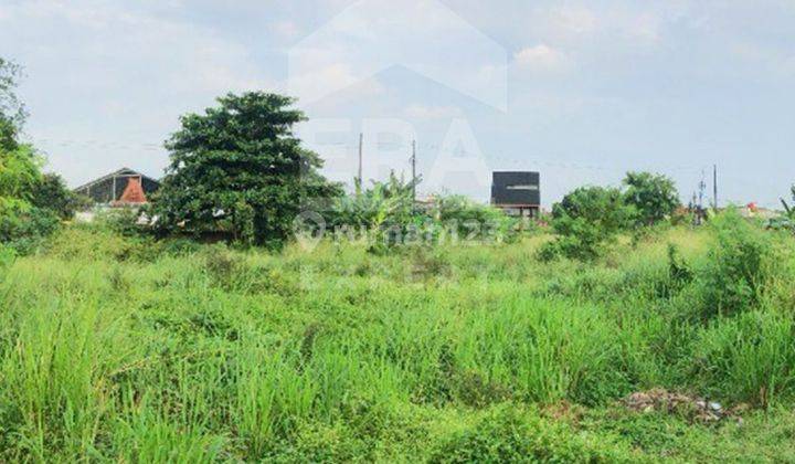 Dijual Cepat Tanah Komersial Termurah Di Sawangan Depok, Harga Jauh Di Bawah NJOP 2