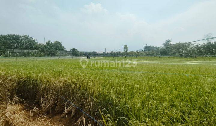 Tanah SHM Strategis Murah Luas 14.000m2 Bekasi 2